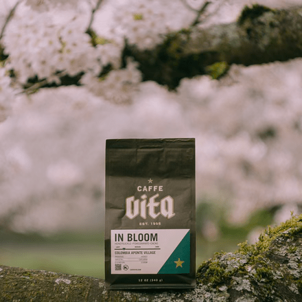 In Bloom: Single Origin [Colombia Aponte Village] (Med Roast) - grown&amp;sewn